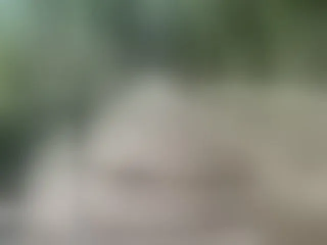 Live sex webcam photo for MS-86 #294300514