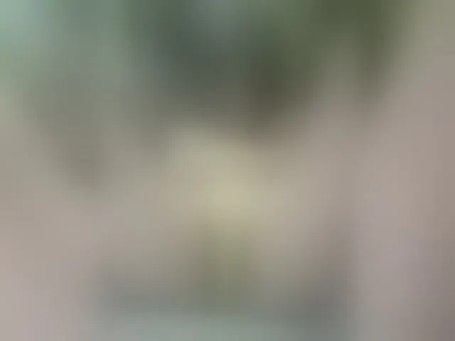 Live sex webcam photo for MS-86 #294305392