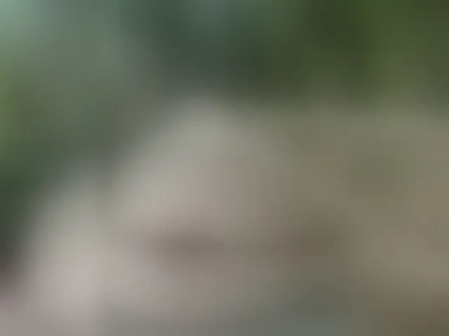 Live sex webcam photo for MS-86 #294310738