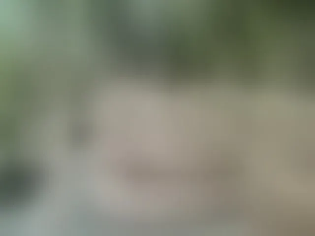 Live sex webcam photo for MS-86