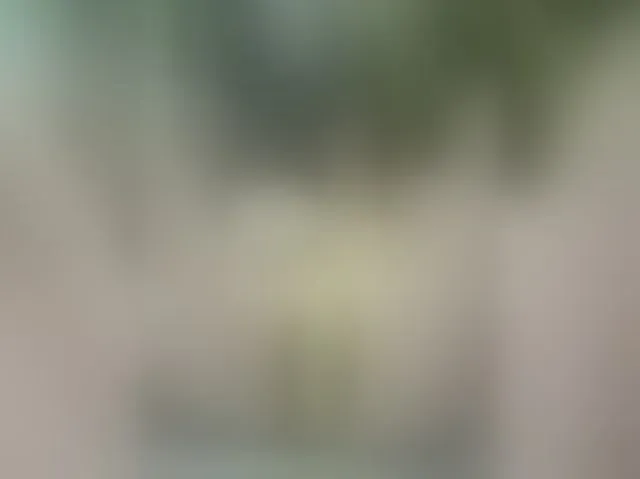 Live sex webcam photo for MS-86 #294326491
