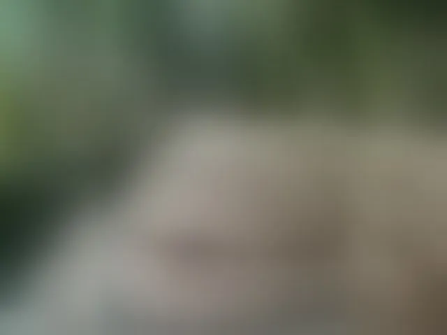 Live sex webcam photo for MS-86 #294331114