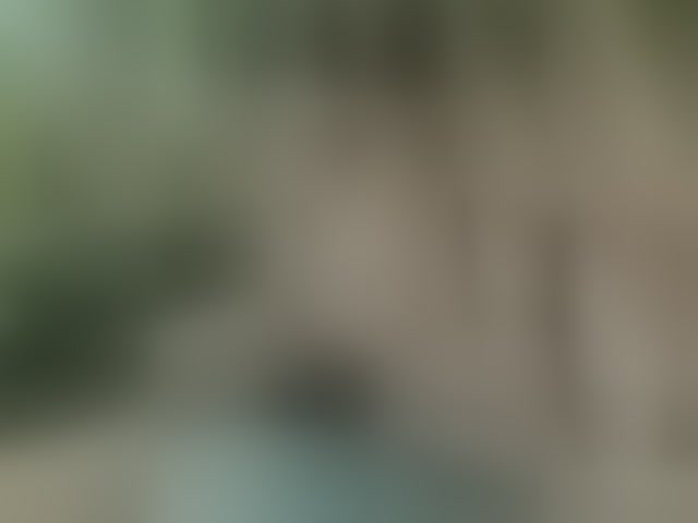 Live sex webcam photo for MS-86 #294335775