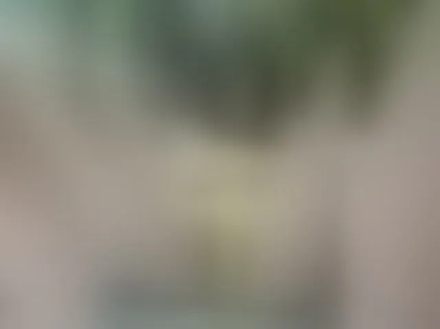 Live sex webcam photo for MS-86