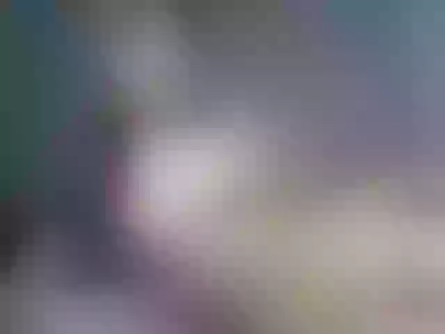 Live sex webcam photo for MabelSparks #275736449