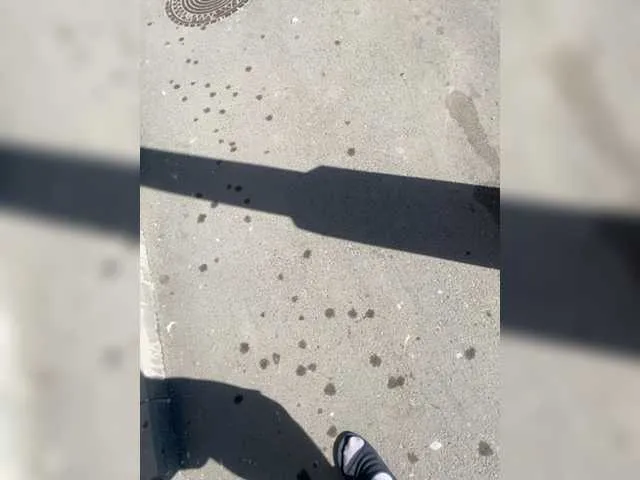 Live sex webcam photo for Macand #277951806