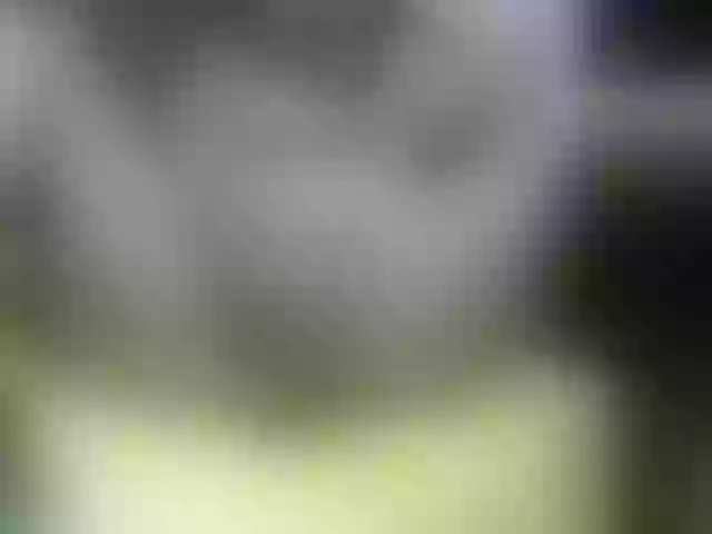 Live sex webcam photo for Madan-laren #272483539