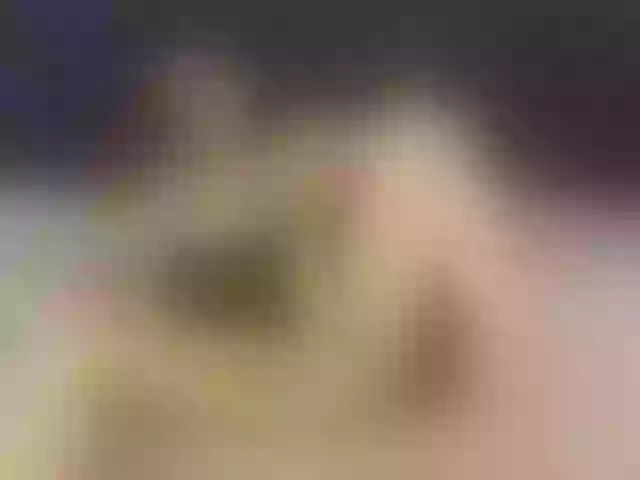 Live sex webcam photo for Madelynn #287960558