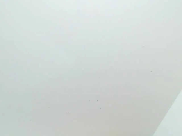 Live sex webcam photo for Madison-horny #276785964