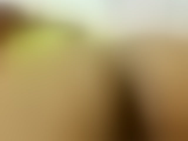 Live sex webcam photo for Madison-sexy #290921557