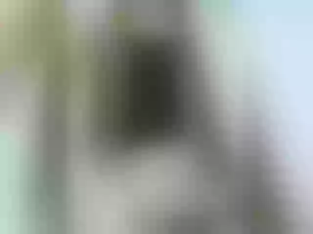 Live sex webcam photo for Madison01 #276267690