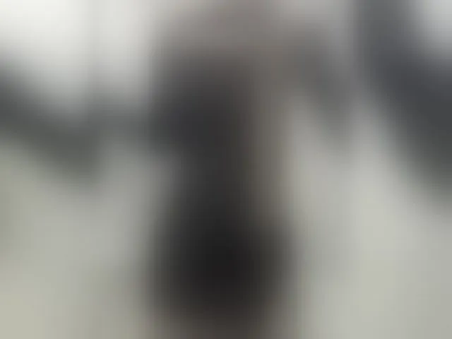 Live sex webcam photo for Madison01 #292839171