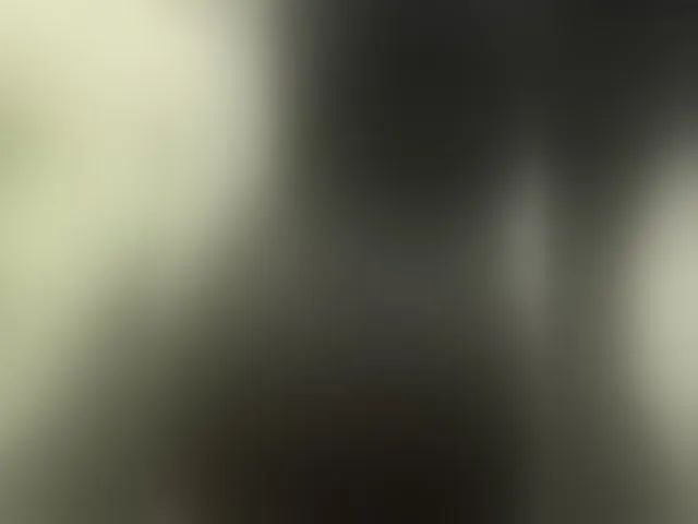 Live sex webcam photo for Madison01 #292945641