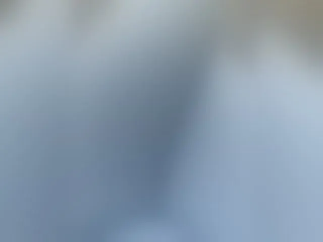 Live sex webcam photo for Madison01 #293450721