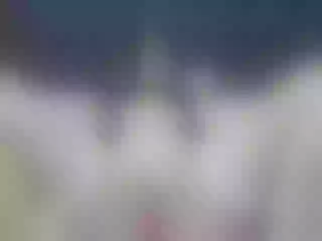 Live sex webcam photo for MadisonBlake #290877604