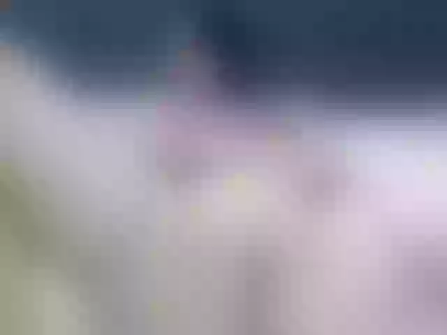 Live sex webcam photo for MadisonBlake #290972516