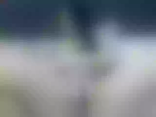 Live sex webcam photo for MadisonBlake #290997932