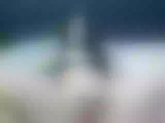 Live sex webcam photo for MadisonBlake #291038066