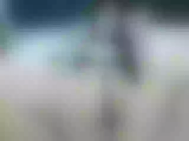 Live sex webcam photo for MadisonBlake #291146579