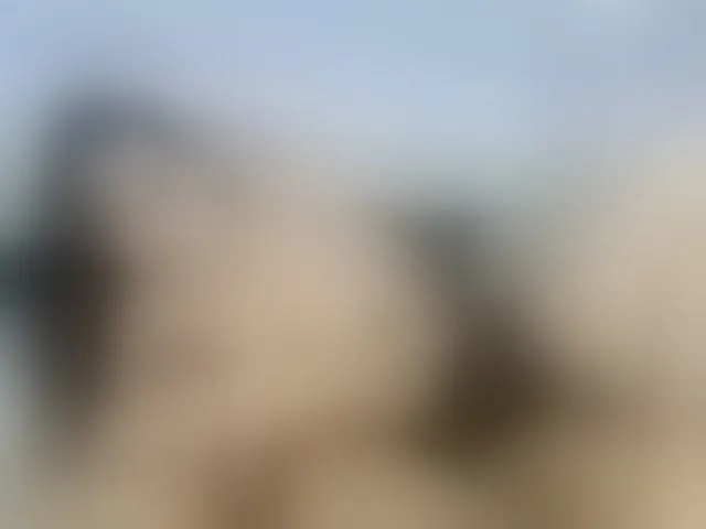 Live sex webcam photo for MadisonWintou #273666458