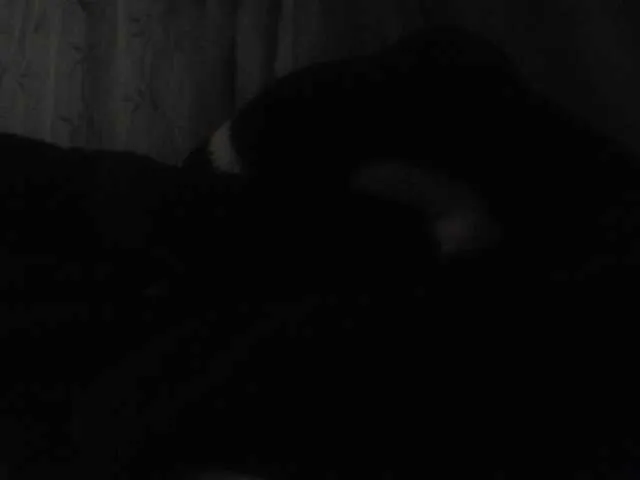 Live sex webcam photo for MadissonRousse #291575966