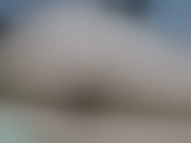 Live sex webcam photo for MadissonRousse #292488979