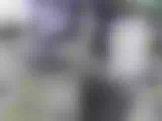 Live sex webcam photo for MagiArias #275633779
