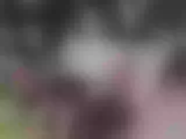 Live sex webcam photo for MagiArias #275733668