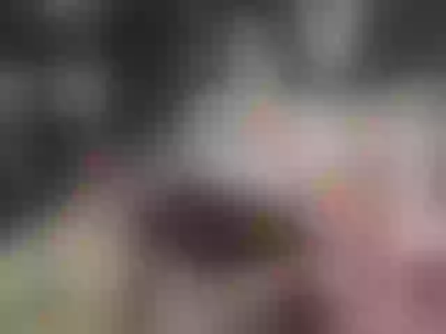 Live sex webcam photo for MagiArias #275761011