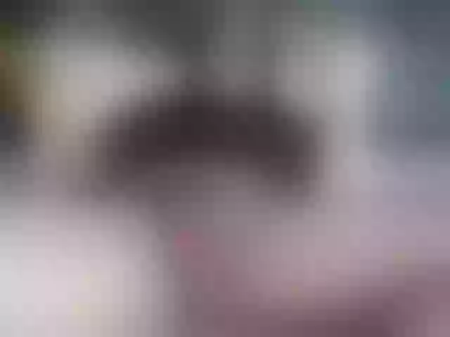Live sex webcam photo for MagiArias #276940963