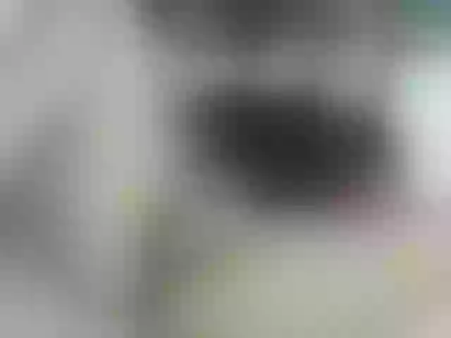 Live sex webcam photo for MagiArias #277064776