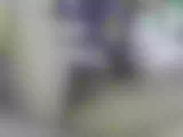 Live sex webcam photo for MagiArias #277141158