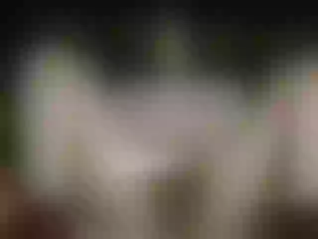 Live sex webcam photo for MagiArias #291907805
