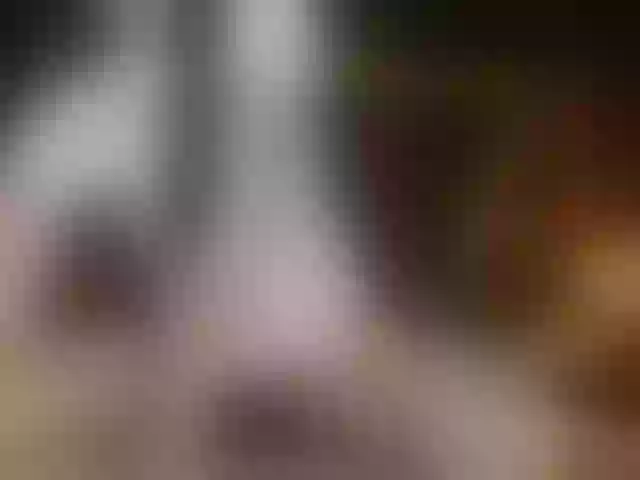Live sex webcam photo for MagiArias #292062742