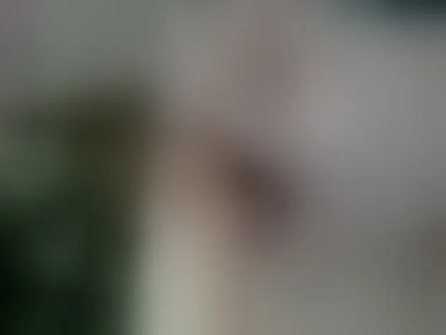 Live sex webcam photo for MagicPink #292321948