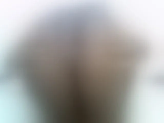 Live sex webcam photo for Magizitah #291731729