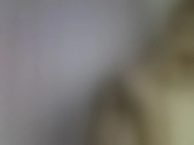 Live sex webcam photo for Magizitah #293226768