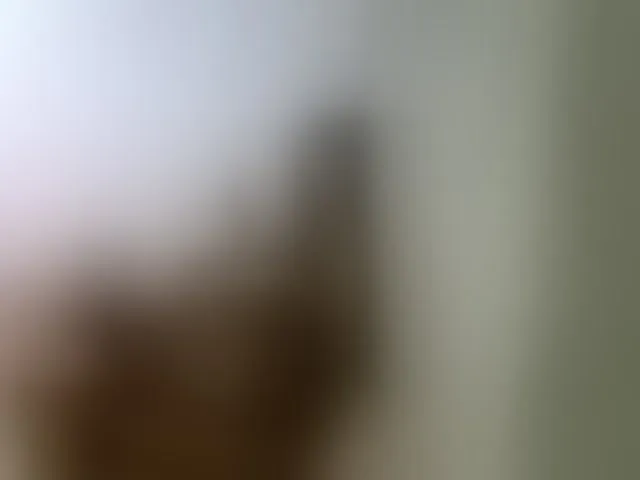Live sex webcam photo for Magizitah #293883756