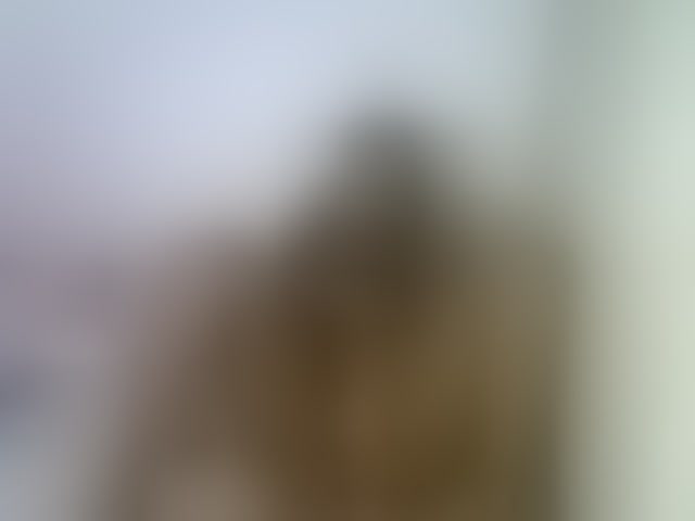 Live sex webcam photo for Magizitah #294128512