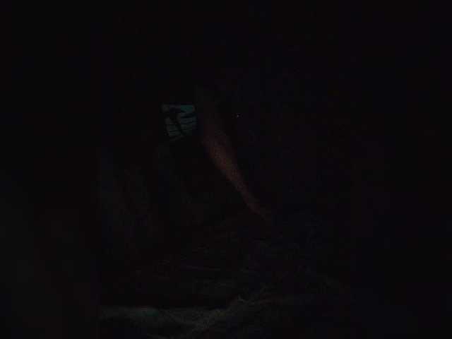 Live sex webcam photo for Magnat1987 #278287719