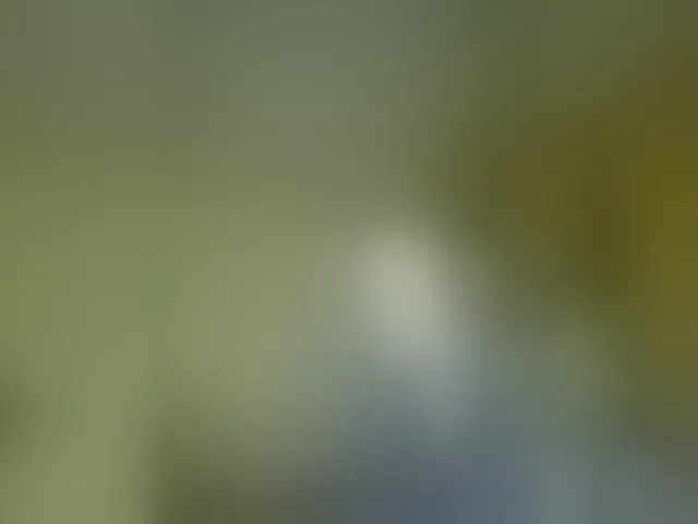 Live sex webcam photo for MagrettaXX #292506619