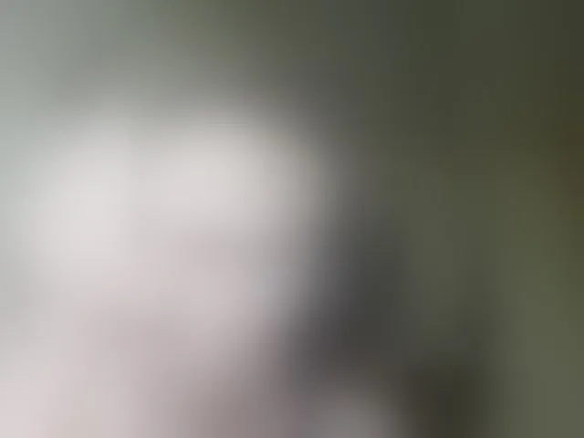 Live sex webcam photo for MagrettaXX #293722289