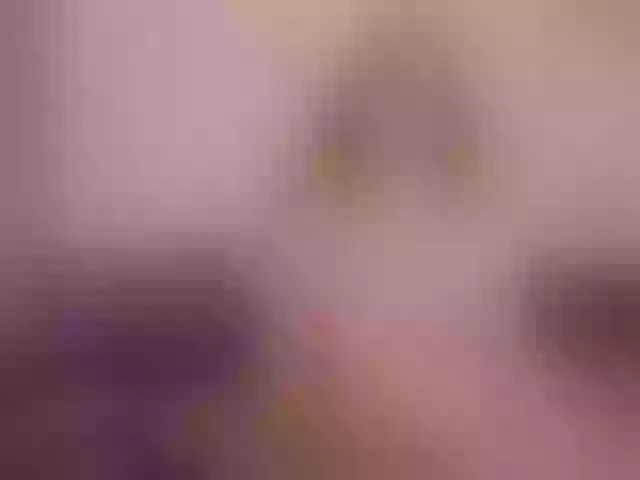 Live sex webcam photo for MaiaCollins #277363407