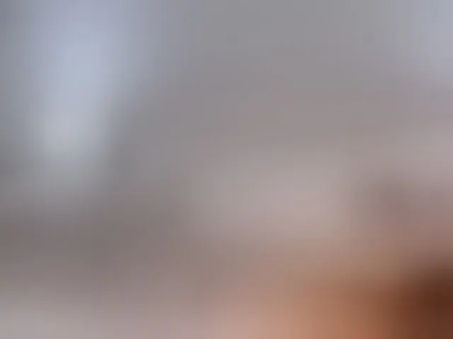 Live sex webcam photo for MaiaCollins #293874823