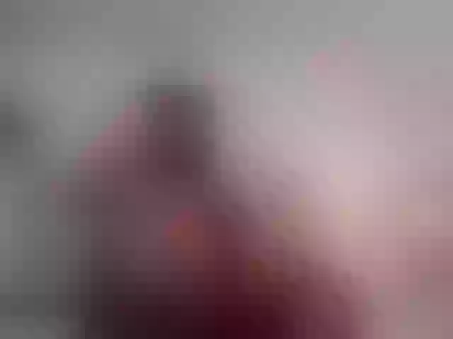Live sex webcam photo for MalaikaJonns #277225882