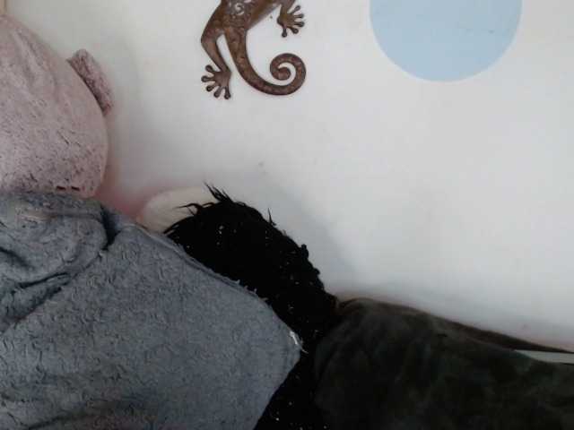 Live sex webcam photo for MalakRc #276787212