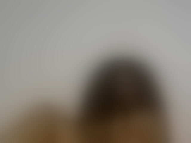 Live sex webcam photo for Malia8891 #294156211