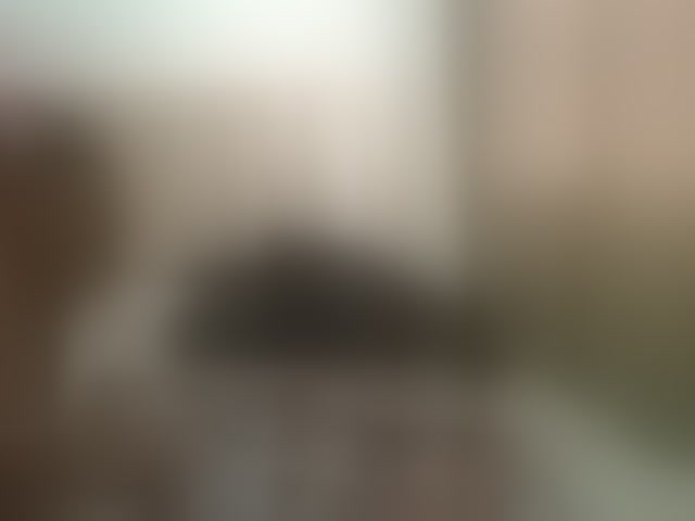 Live sex webcam photo for Malibhu #294054783