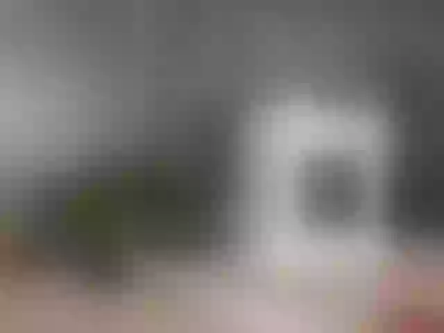 Live sex webcam photo for MalinaMaze #291953056