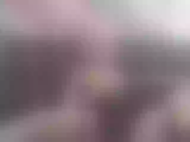 Live sex webcam photo for MallazfXXX005 #291918386